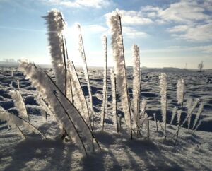 2. miejsce Marta Spętana (tytuł: "Frost", miejsce wykonania: Kalinowa)