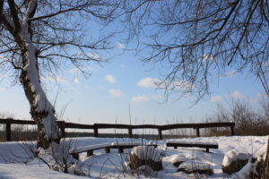 Wyróżnienie Maria Bilant (tytuł: „Winter Wonderland”, miejsce wykonania: Strońsko)